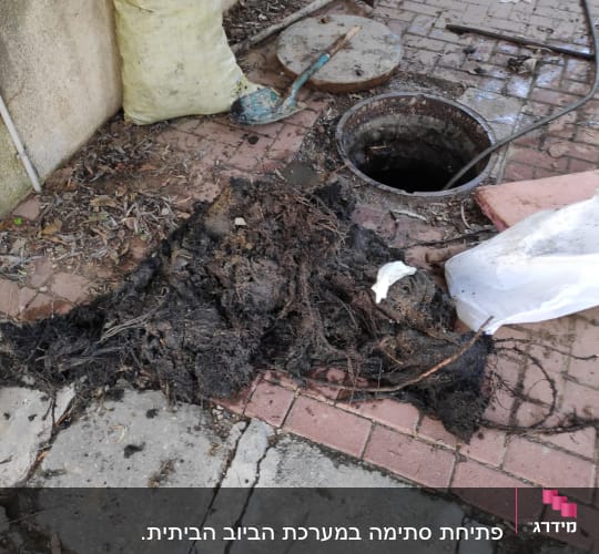 פתיחת סתימה במערכת הביוב הביתית.